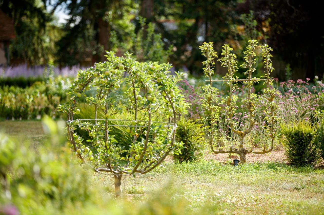 Relais & Chateau Louise De La Valliere Reugny  Ngoại thất bức ảnh